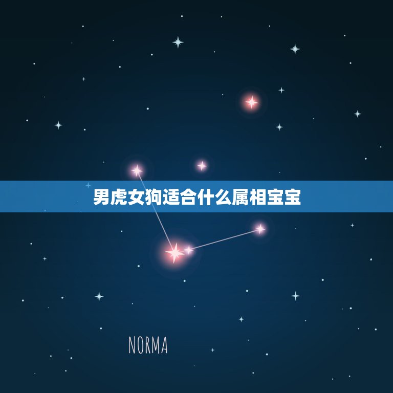 男虎女狗适合什么属相宝宝，属相虎和属相狗相克吗？  第1张