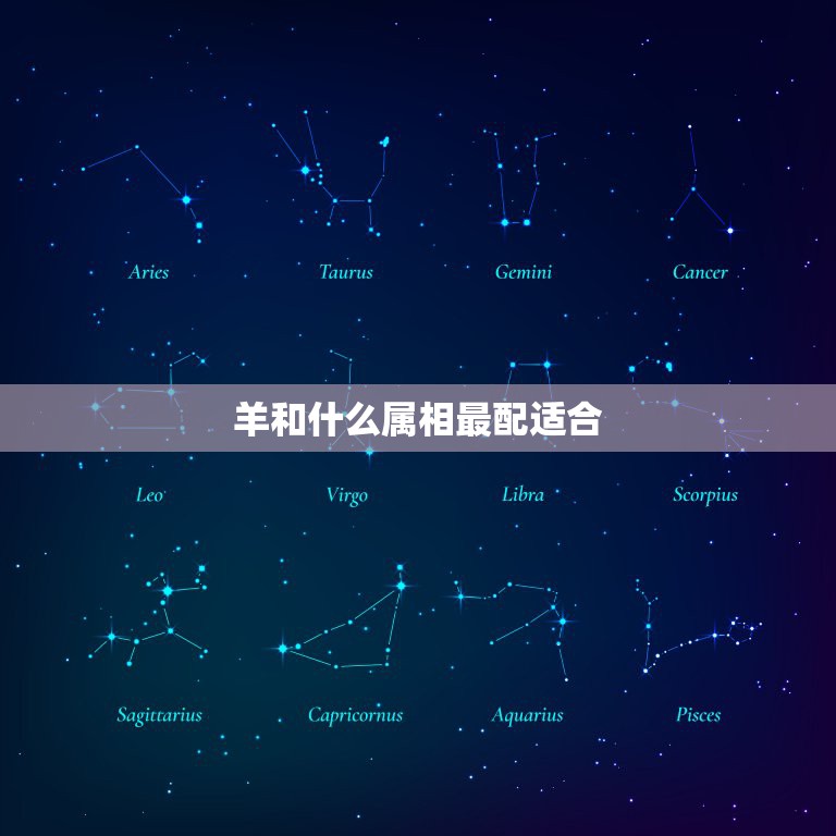 羊和什么属相最配适合，属羊的属相婚配表 属羊的适合和什么属相相配  第1张