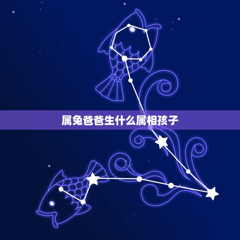 属兔爸爸生什么属相孩子，爸爸属兔妈妈属虎要个什么属相的宝宝好呢  第1张