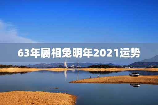 63年属相兔明年2021运势，属兔今年运势2021年运势  第1张