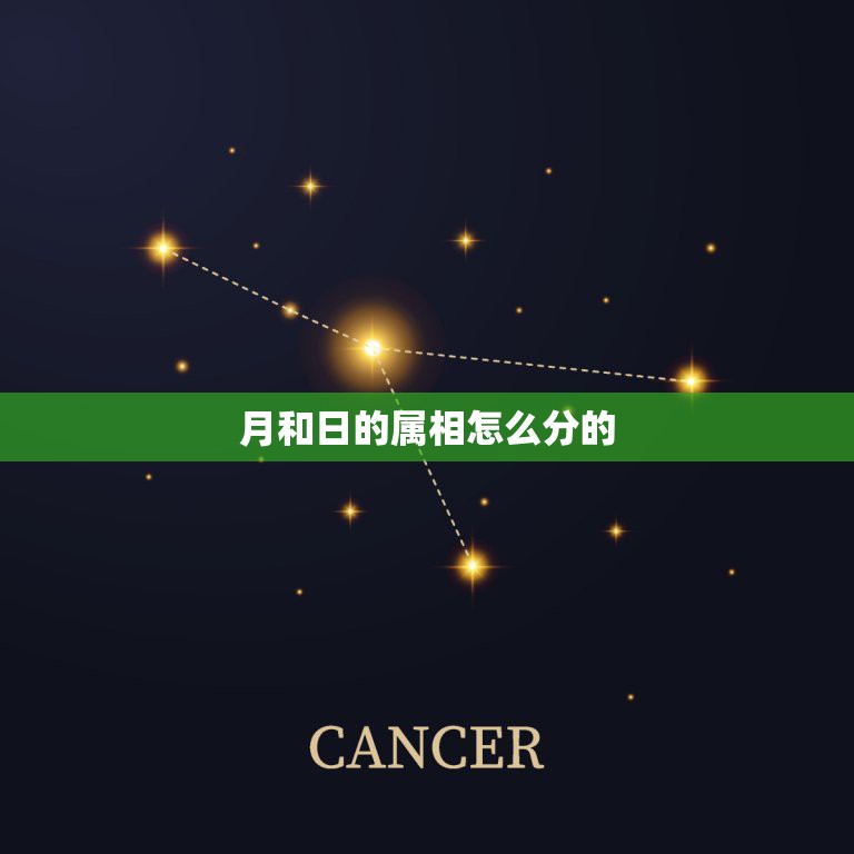 月和日的属相怎么分的，农历生肖属相按月份怎么排列？比如说农历一月出生的  第1张