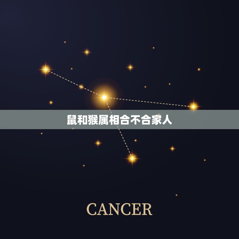 鼠和猴属相合不合家人，天上神仙有几何 打一生肖  第1张