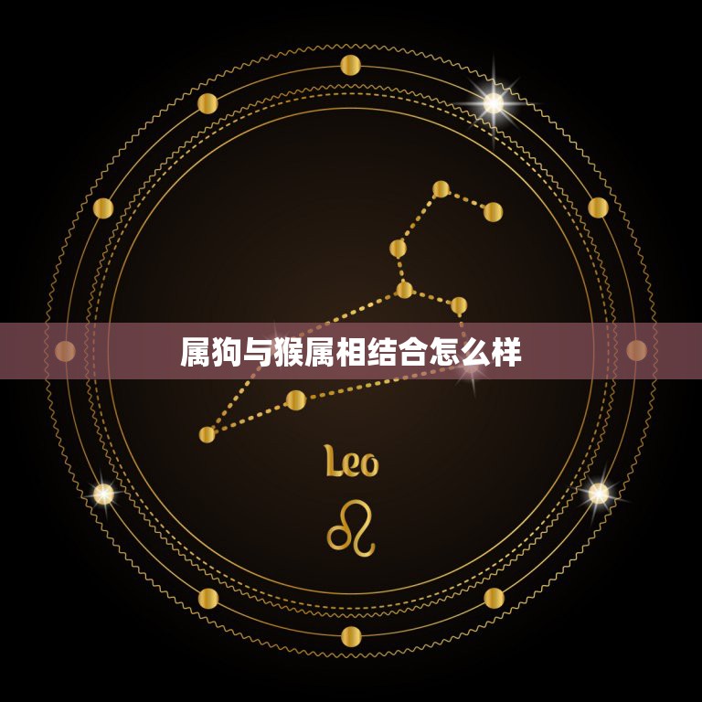 属狗与猴属相结合怎么样，属猴和属狗的配吗？猴和狗配吗？  第1张