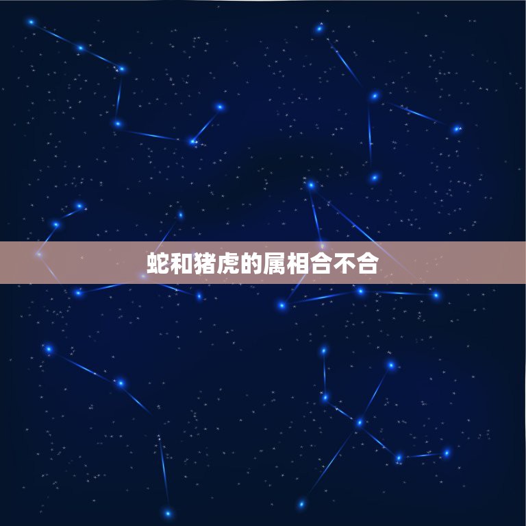 蛇和猪虎的属相合不合，属蛇的人不能和属虎的人在一起吗？  第1张