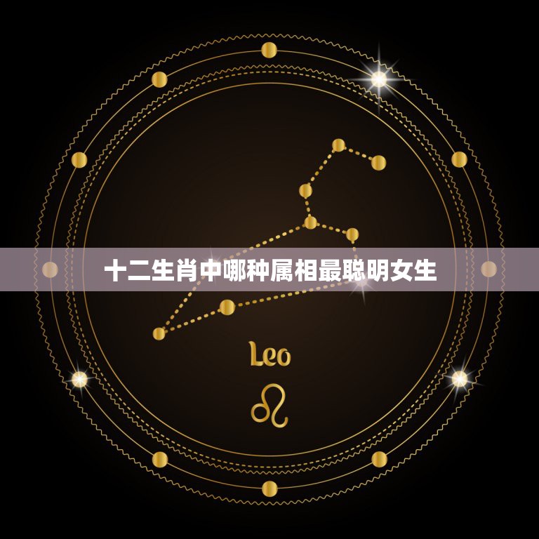 十二生肖中哪种属相最聪明女生，十二生肖中哪个生肖的人比较聪明？  第1张