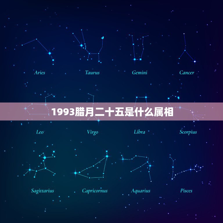 1993腊月二十五是什么属相，1993年腊月二十五属鸡是什么命  第1张