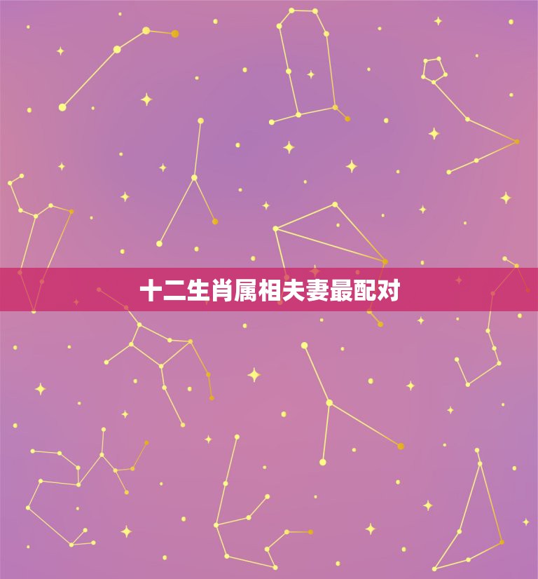 十二生肖属相夫妻最配对，猪与那个属相最相配  第1张