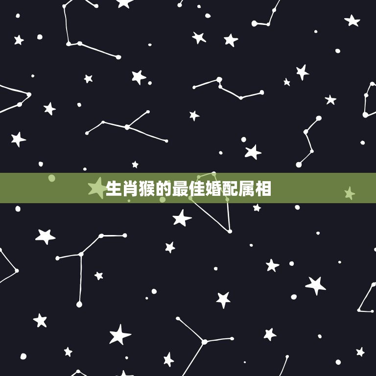 生肖猴的最佳婚配属相，属猴的最佳配对属相是什么  第1张