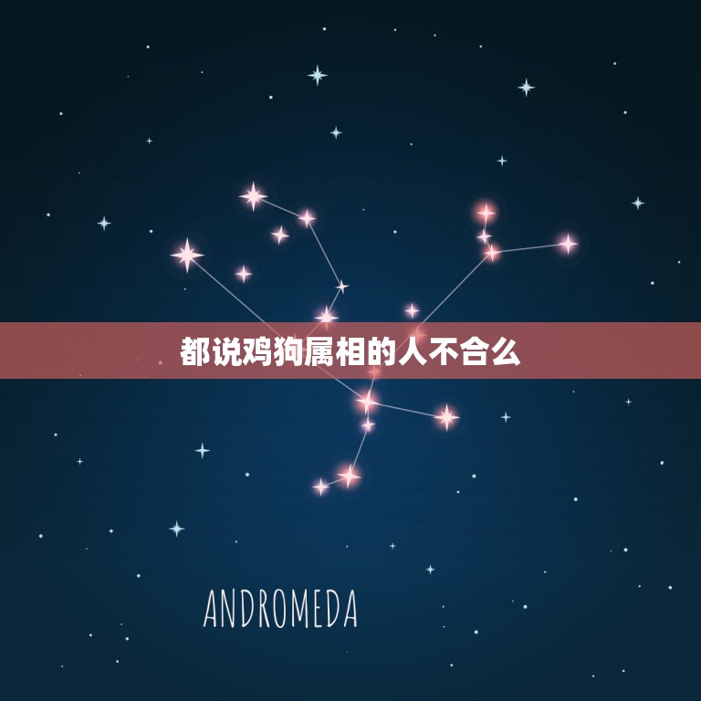 都说鸡狗属相的人不合么，家庭中鸡狗属相合不合 属相鸡狗真的不合吗  第1张