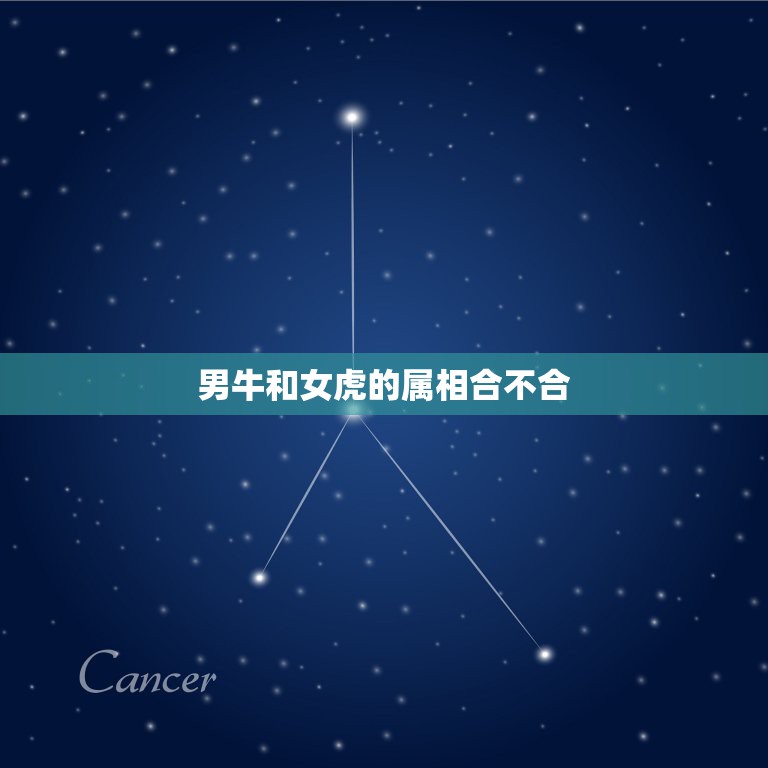 男牛和女虎的属相合不合，男属牛，女属虎，结婚当天忌什么属相的人  第1张