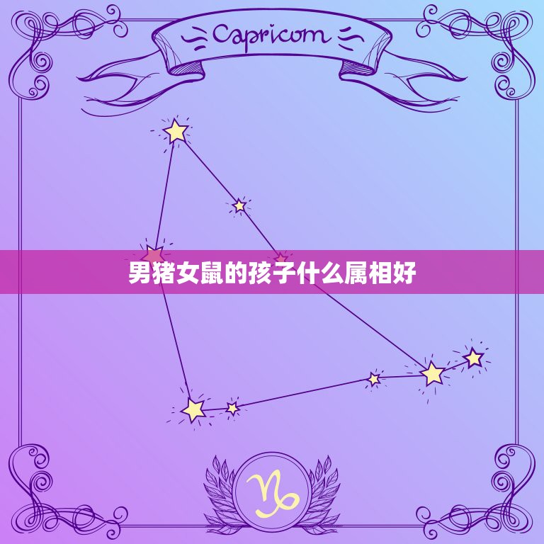 男猪女鼠的孩子什么属相好，男属猪，女属鼠，生什么生肖的孩子比较好？最好  第1张
