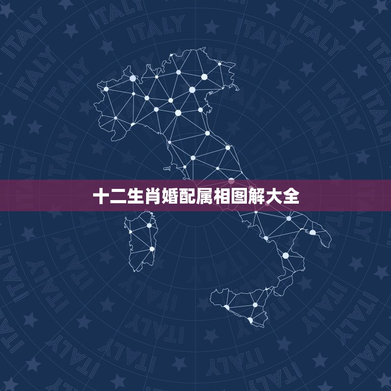 十二生肖婚配属相图解大全，属兔的属相婚配表，属兔的和什么属相最配，属兔  第1张