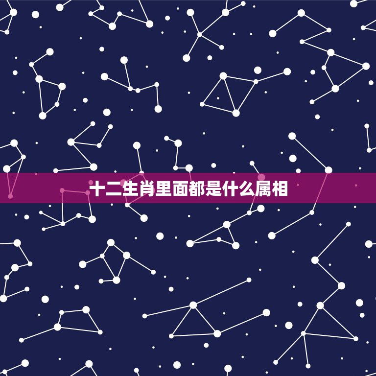十二生肖里面都是什么属相，12生肖分别是什么？  第1张