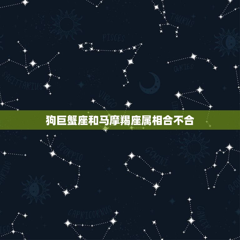 狗巨蟹座和马摩羯座属相合不合，82年属狗巨蟹座和90年属马摩羯座合适吗  第1张