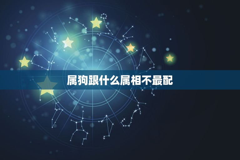 属狗跟什么属相不最配，属狗的和什么属相最配最合适呢 属狗的婚配禁忌属相  第1张