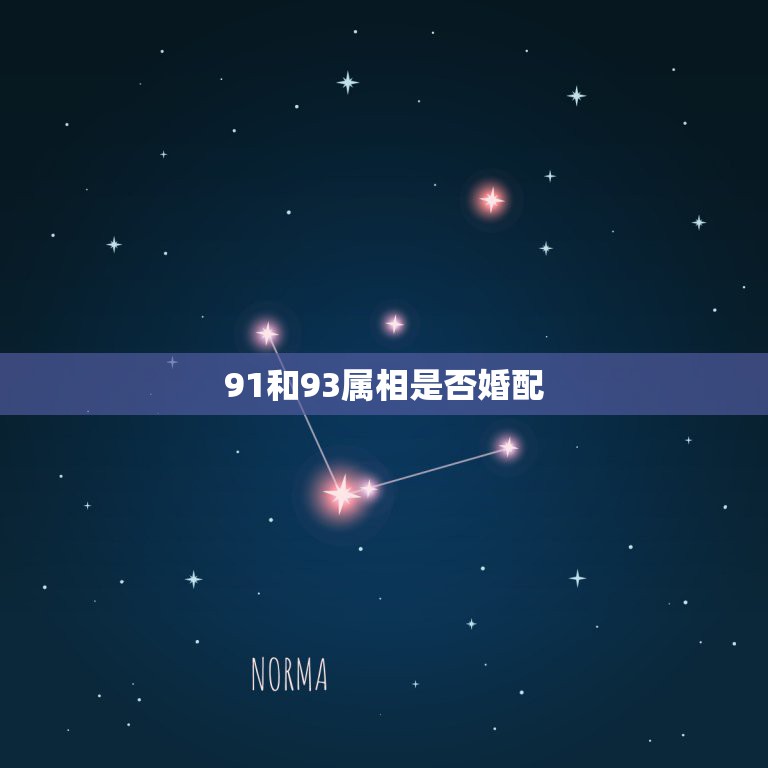 91和93属相是否婚配，91属羊男和93属鸡女婚配好不好？能一起吗，  第1张