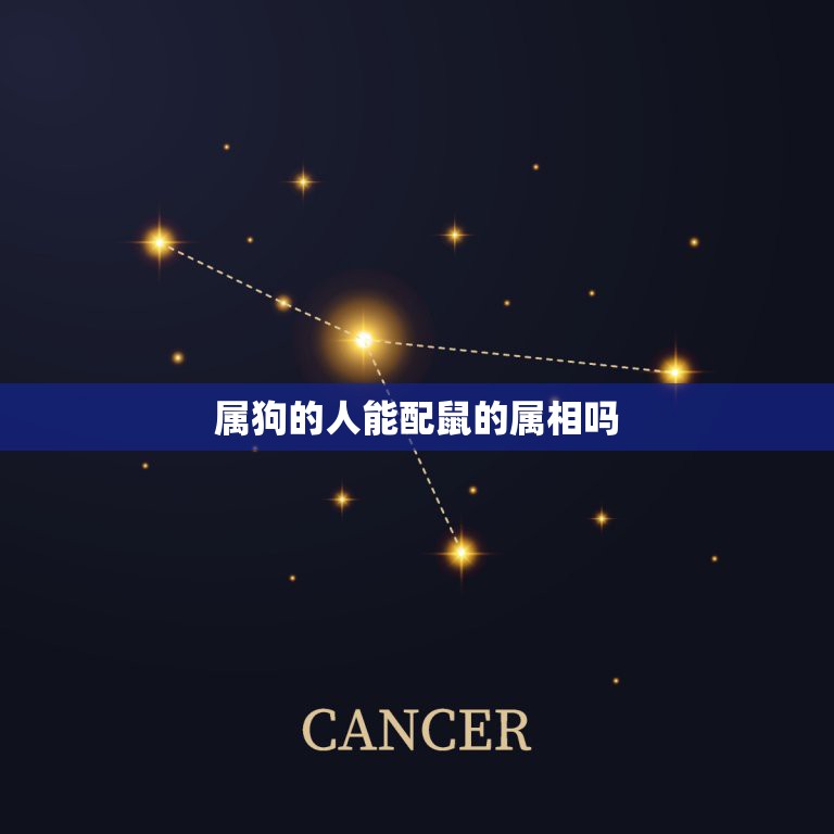 属狗的人能配鼠的属相吗，属鼠和属狗的相冲吗  第1张