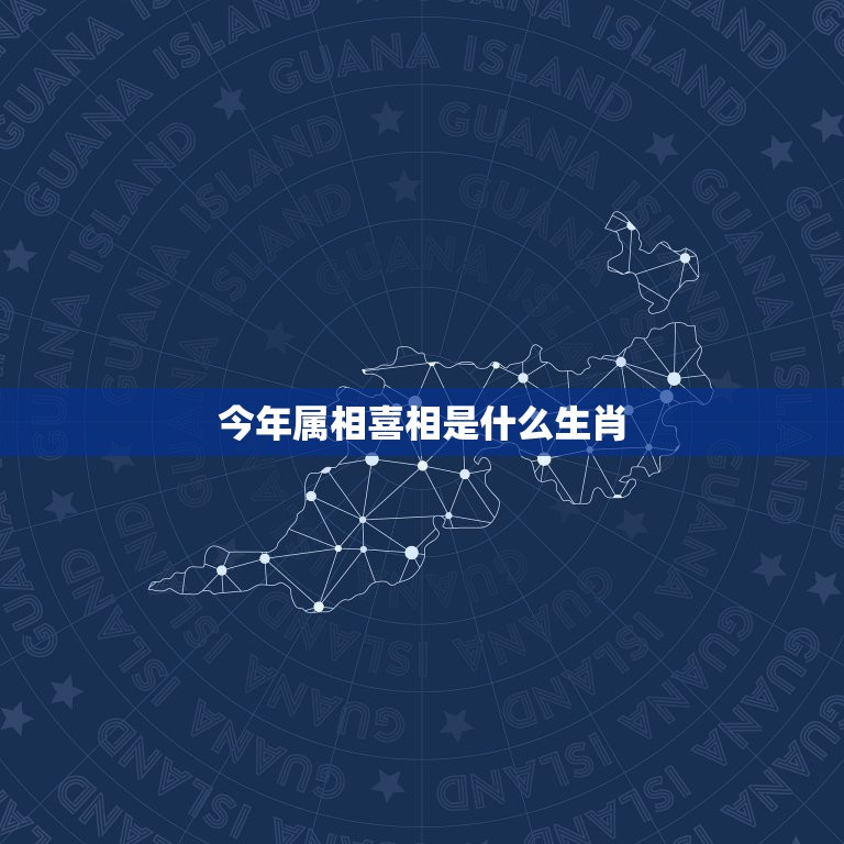 今年属相喜相是什么生肖，今年什么属相财运旺  第1张