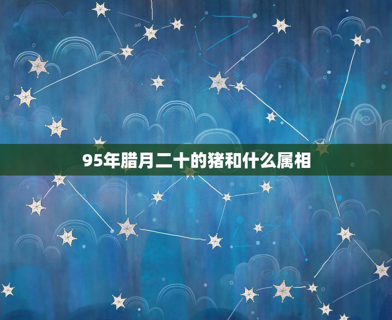 95年腊月二十的猪和什么属相，阴历1995年腊月二十是阳历多少？应该属