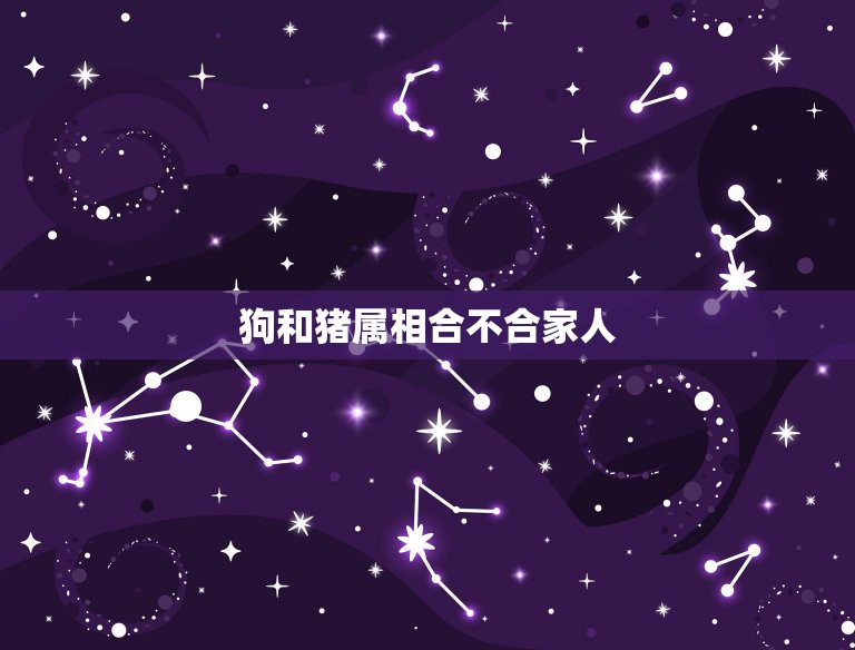 狗和猪属相合不合家人，狗和猪属相合不合  第1张