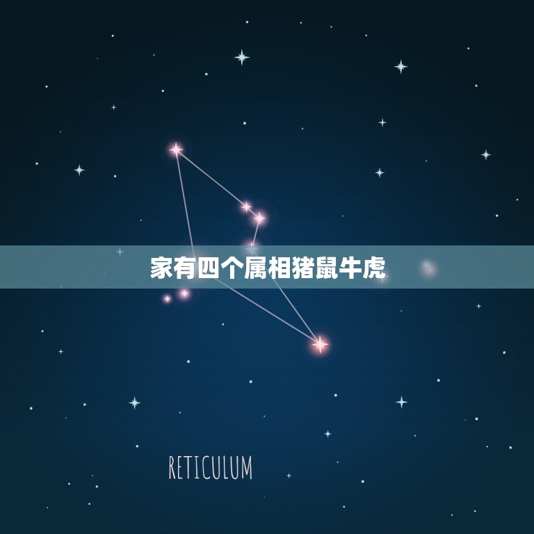 家有四个属相猪鼠牛虎，我和老公都属鼠 孩子属牛好还是属虎好  第1张