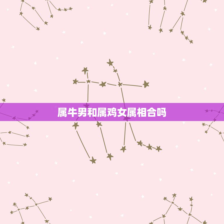 属牛男和属鸡女属相合吗，属鸡男和属牛女相配吗？  第1张