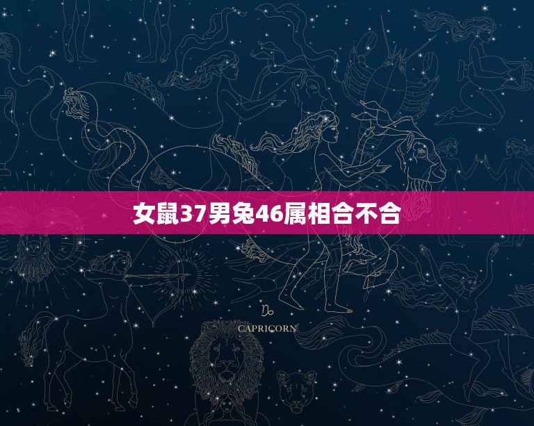 女鼠37男兔46属相合不合，属兔的和属鼠的合不合呀  第1张
