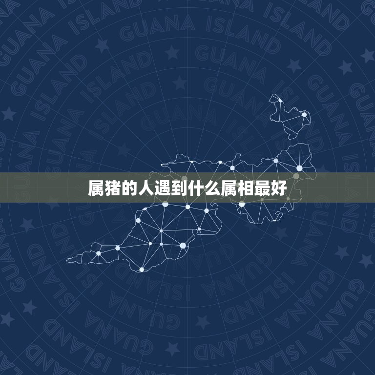 属猪的人遇到什么属相最好，属猪的和什么属相合作最好  第1张