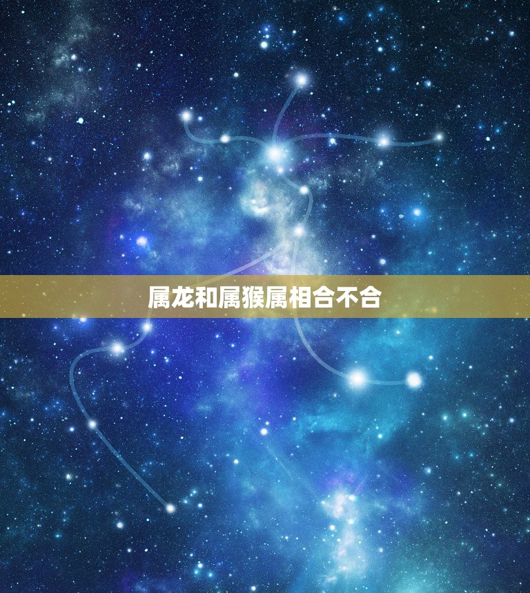 属龙和属猴属相合不合，属龙的和属猴的在一起好吗  第1张