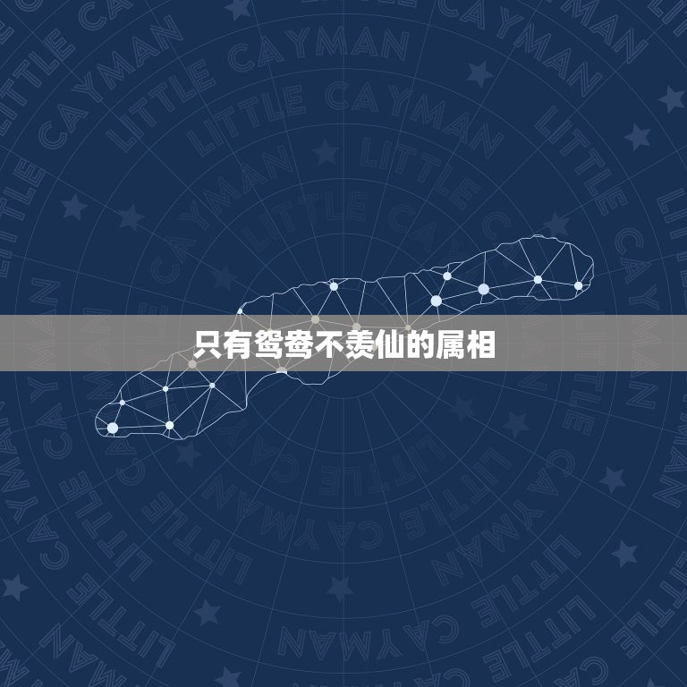 只有鸳鸯不羡仙的属相，只羡鸳鸯不羡仙代表什么生肖？  第1张