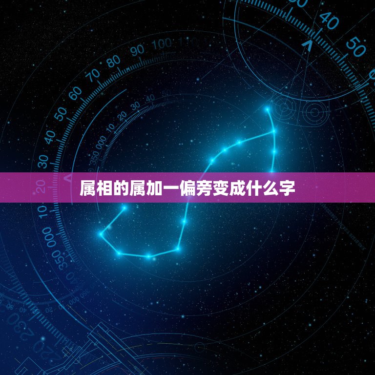 属相的属加一偏旁变成什么字，“属”字加哪个偏旁变成另一个字？  第1张