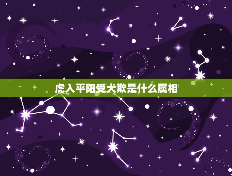 虎入平阳受犬欺是什么属相，虎落平阳被犬欺是哪个生肖  第1张