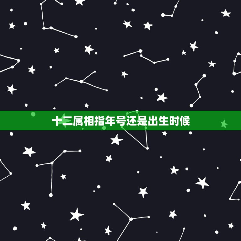 十二属相指年号还是出生时候，生肖是生的年份或是生的时间  第1张