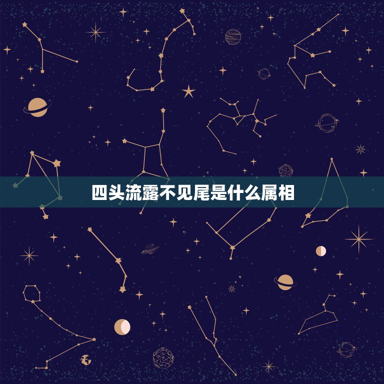 四头流露不见尾是什么属相，五蛇六鼠不毒辣，四头流露不见尾打一生肖  第1张