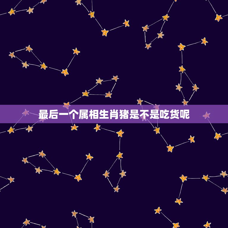最后一个属相生肖猪是不是吃货呢，就着猪肉吃油条…腻透了。猜一个生肖。  第1张