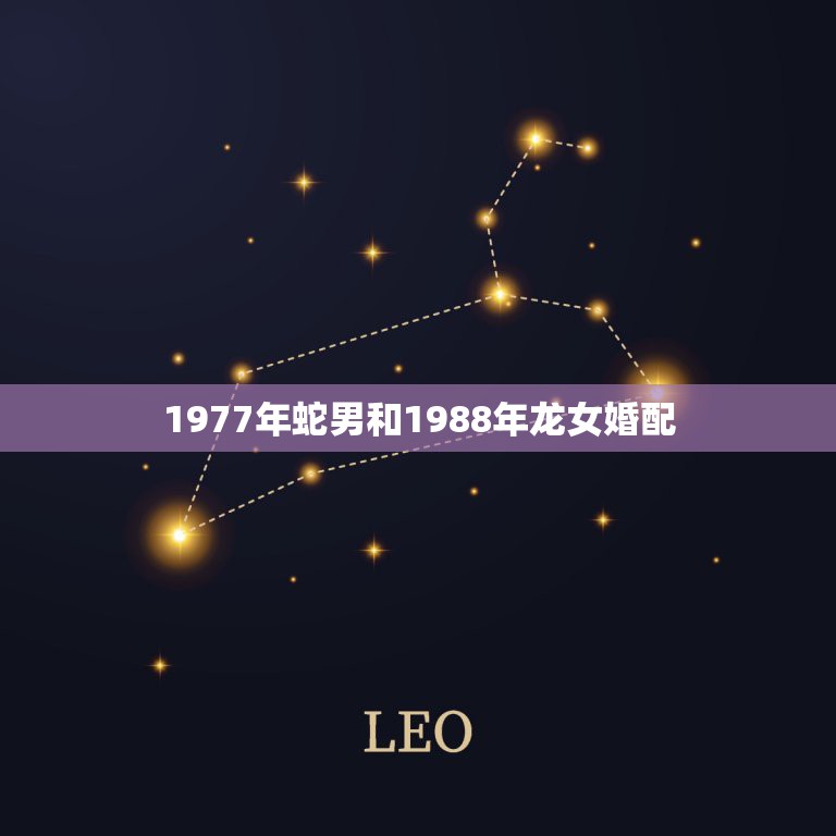1977年蛇男和1988年龙女婚配，1977年属蛇男与1988年属龙女  第1张