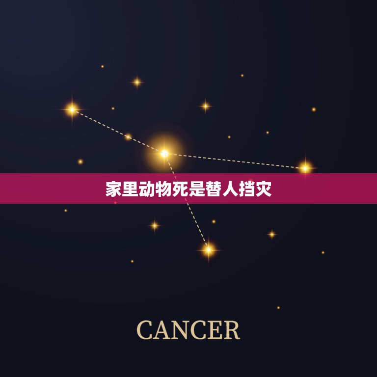 家里动物死是替人挡灾，家里的宠物老死是替主人挡煞吗？  第1张