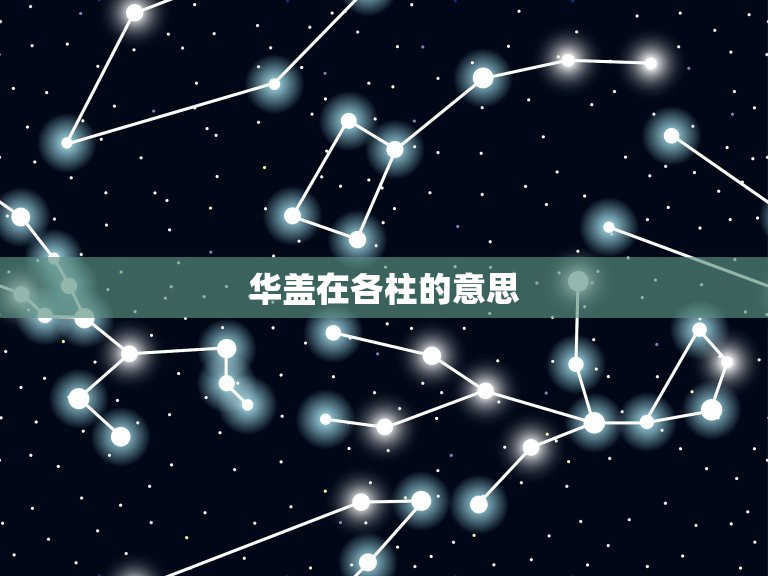 华盖在各柱的意思，华盖命的前世只有非常高贵的人  第1张