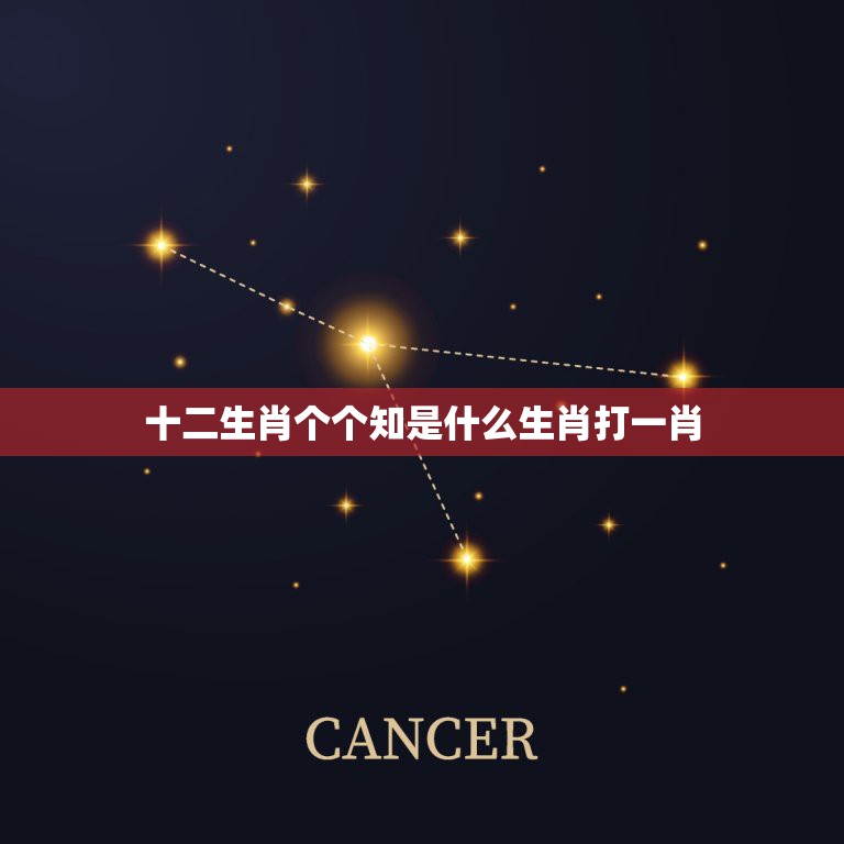 十二生肖个个知是什么生肖打一肖，个个知的动物  第1张