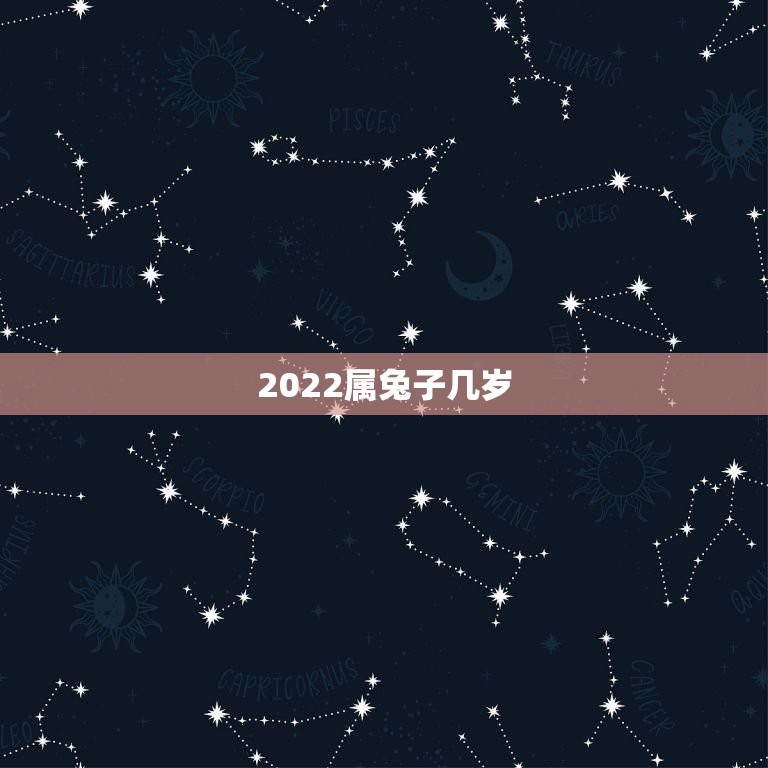 2022属兔子几岁，属兔年龄对照表  第1张