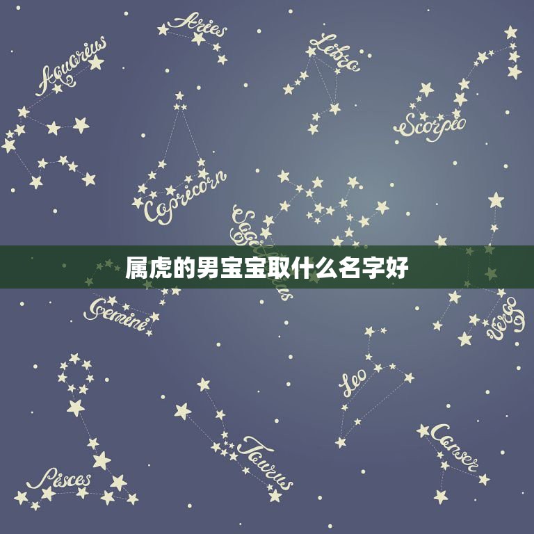 属虎的男宝宝取什么名字好 什么星座喜欢追求有难度的爱情  第1张