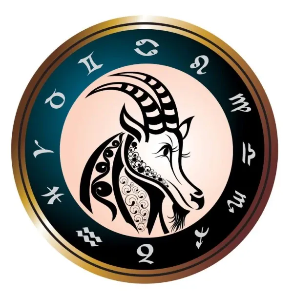 摩羯座星座属性解析：属土象还是风向？3分钟看懂差异  第2张