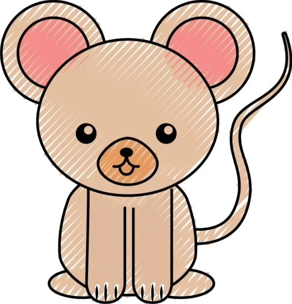 子丑寅卯猜生肖快速技巧：5秒速记口诀