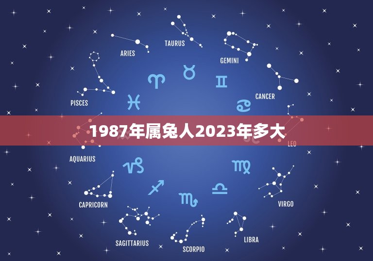 1987年属兔人2023年多大(属兔人的生肖运程与吉祥物)  第1张