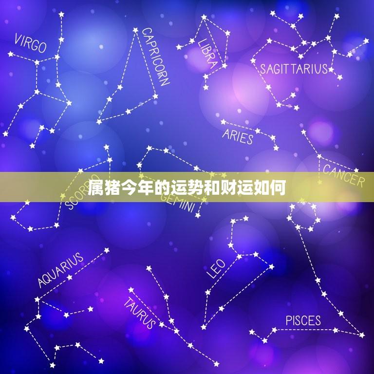 属猪今年的运势和财运如何(2023年属猪人的运程介绍)  第1张