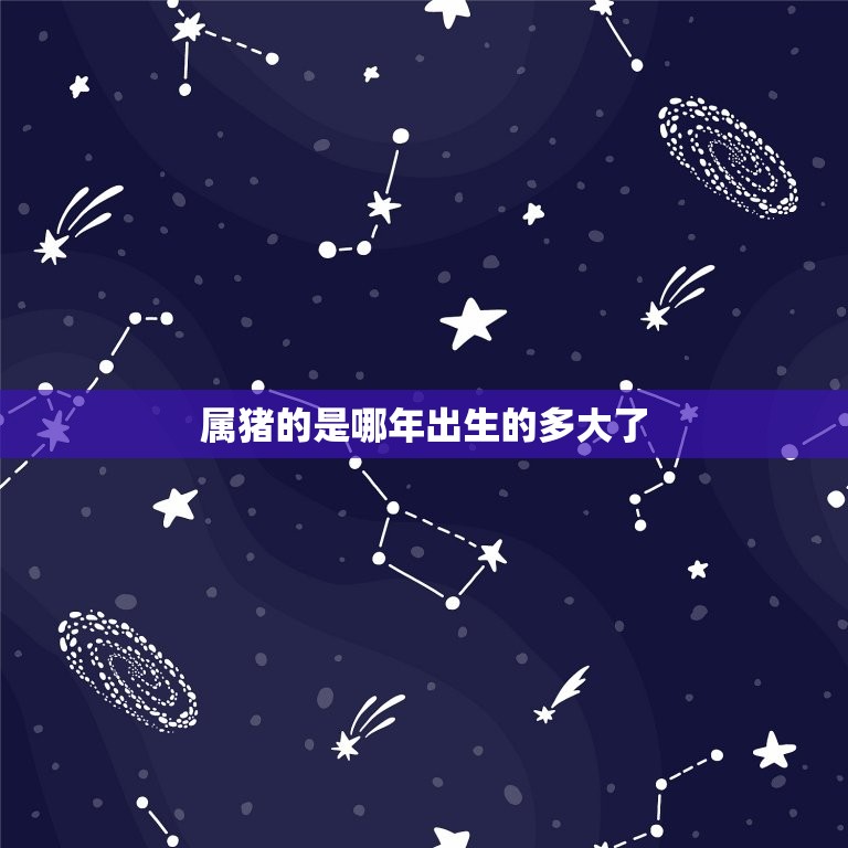 属猪的是哪年出生的多大了(介绍十二生肖中猪年的历史与文化)  第1张