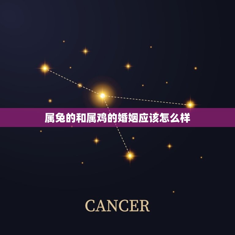 属兔的和属鸡的婚姻应该怎么样(十二生肖婚姻配对介绍)  第1张