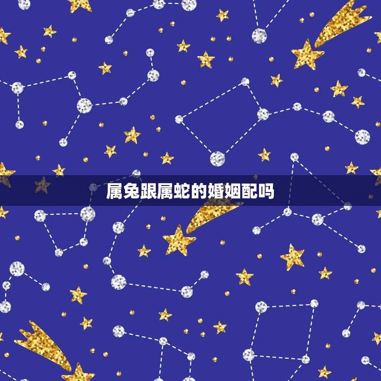 属兔跟属蛇的婚姻配吗(十二生肖的婚配搭配)  第1张