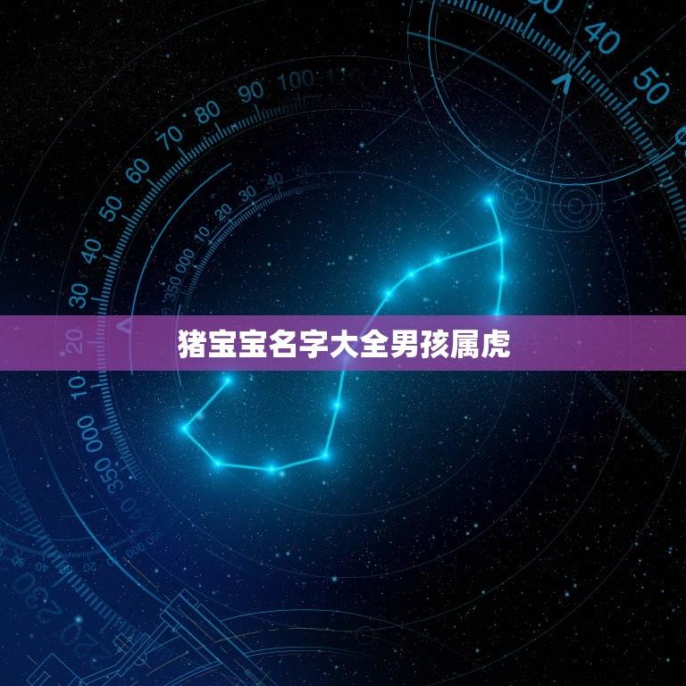 猪宝宝名字大全男孩属虎(给宝宝取名的方法与注意事项)  第1张