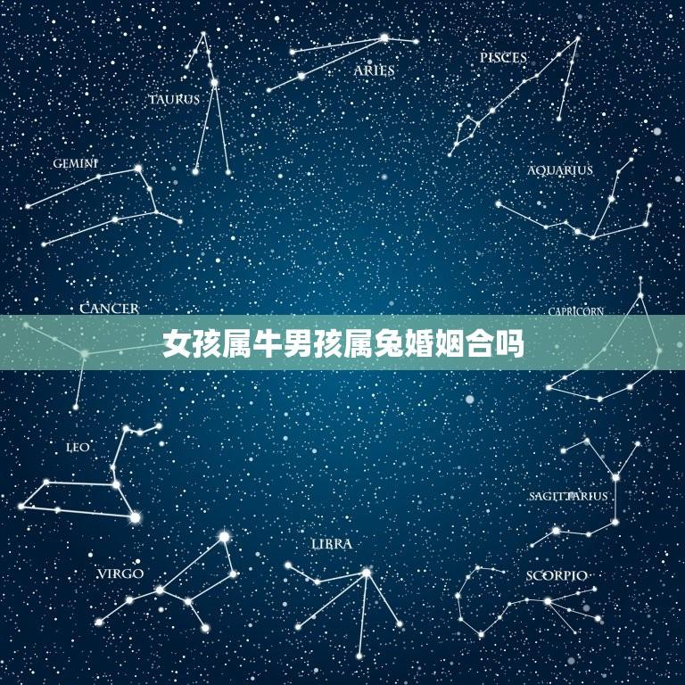 女孩属牛男孩属兔婚姻合吗(十二生肖婚配介绍)  第1张